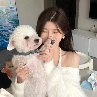 灵书妙探第七季 封面